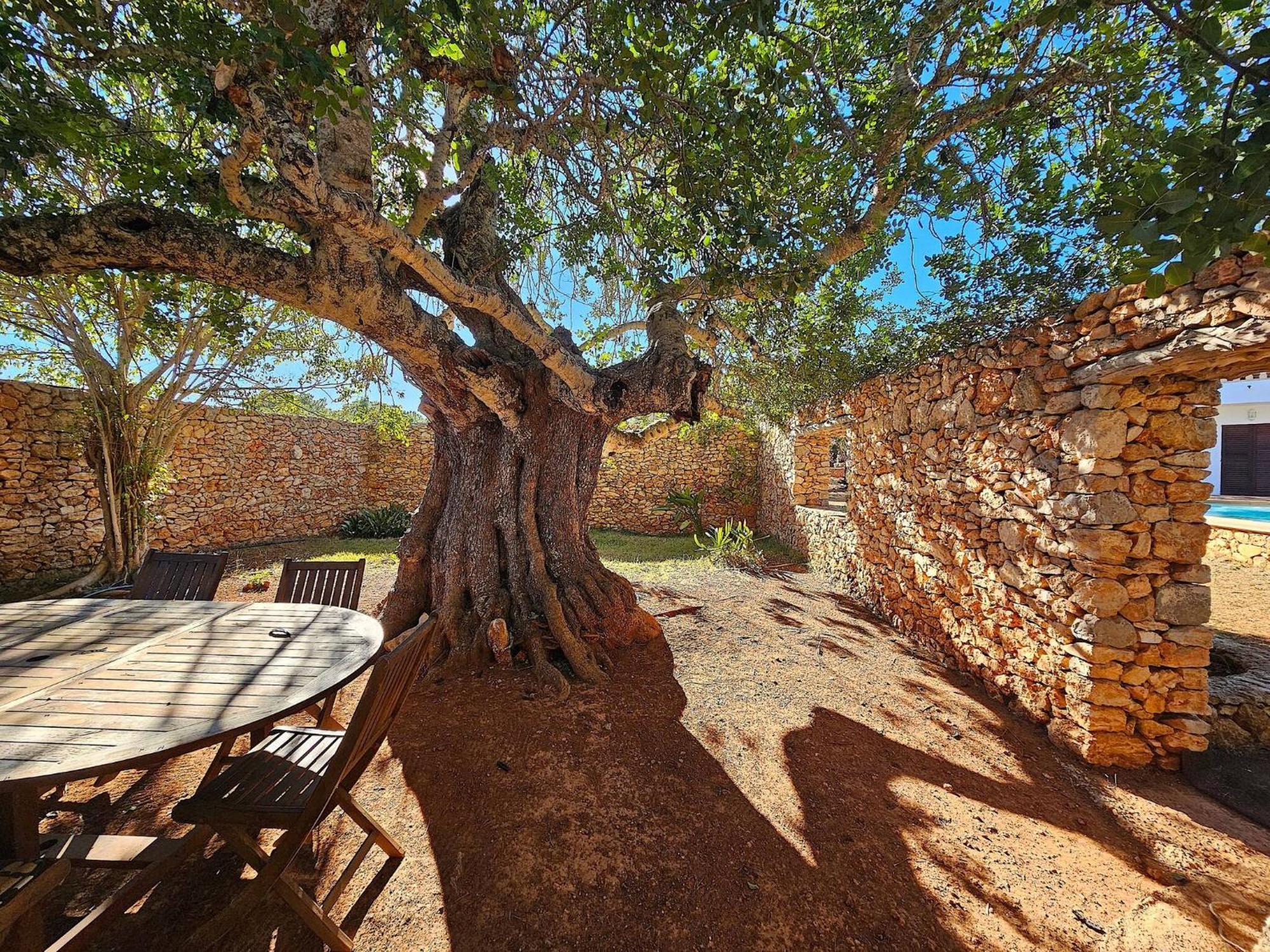 Cala Jondal "Can Amanaya" San José Екстериор снимка